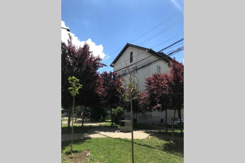 Cozy Apartment In The Old Center Of Prishtina Pristina Exterior foto